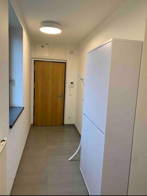 Apartman Holesovice,Balkon,Garaz Praga Exterior foto